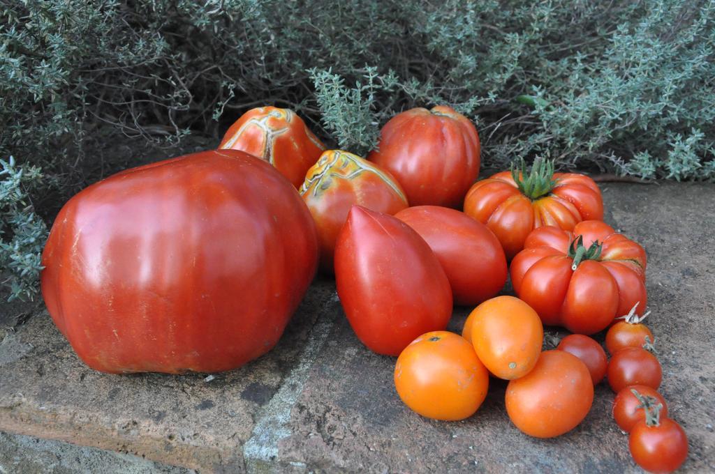 קבריליה La Locanda Cuccuini מראה חיצוני תמונה